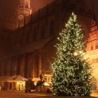 Activieit: Kerstmarkt Haarlem