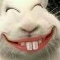 Profiel foto van Janet